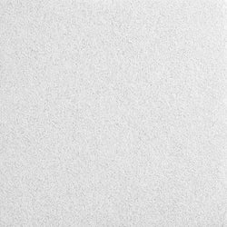 White Ceiling Tiles - CANYON