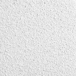 White Ceiling Tiles - PAINTED NUBBY